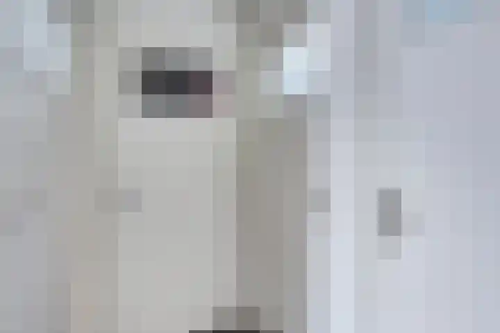Iliumstraat 10 Eindhoven thumbnail 31