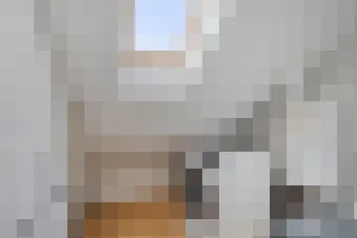 Iliumstraat 10 Eindhoven thumbnail 34