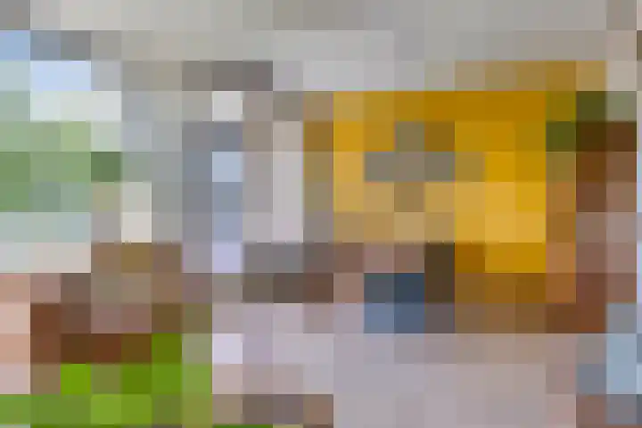 Illegaliteitslaan 12 in Groningen