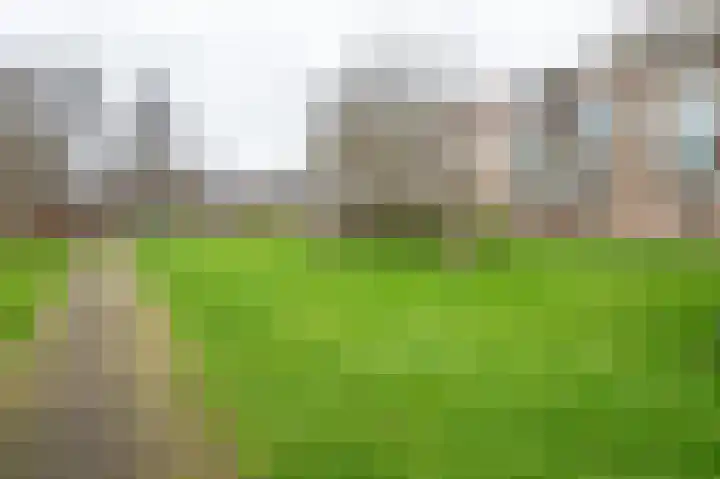 Illegaliteitslaan 120 dans Groningen