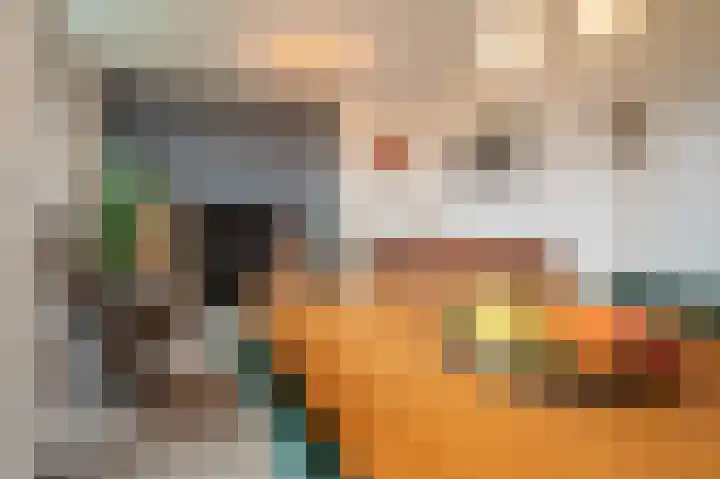Illegaliteitslaan 120 Groningen thumbnail 19