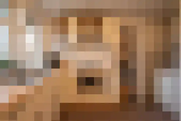 Illegaliteitslaan 120 Groningen thumbnail 23
