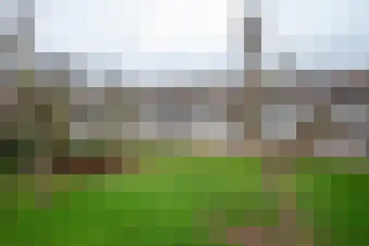 Illegaliteitslaan 120 Groningen thumbnail 4