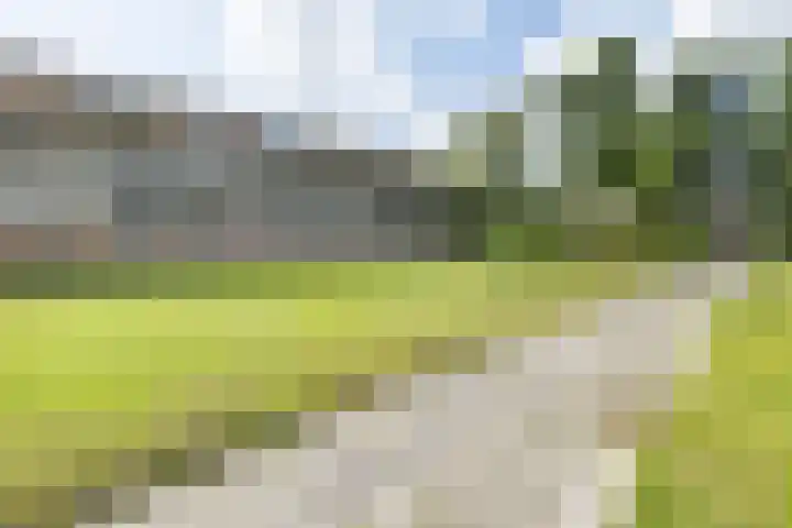 Illegaliteitslaan 146 Groningen thumbnail 12
