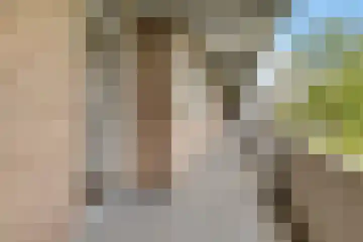 Illegaliteitslaan 146 Groningen thumbnail 15