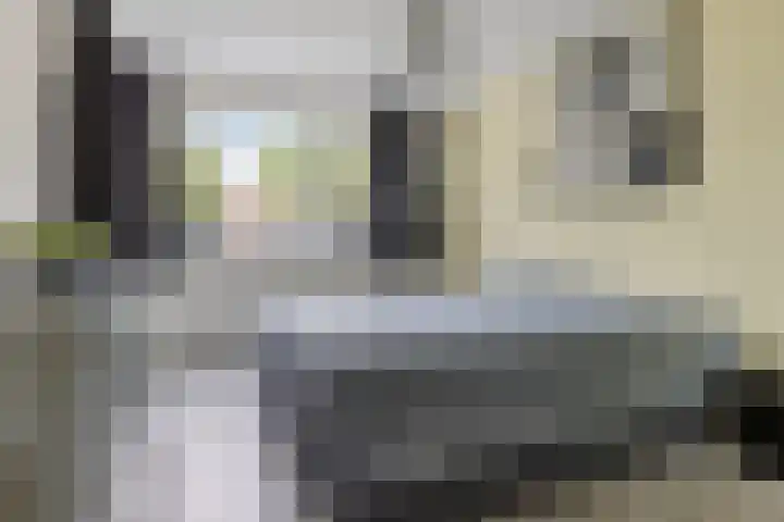 Illegaliteitslaan 146 Groningen thumbnail 38