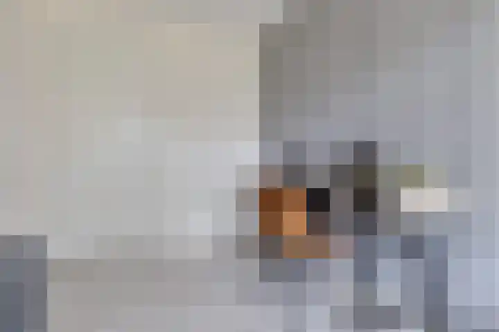 Illegaliteitslaan 146 Groningen thumbnail 40