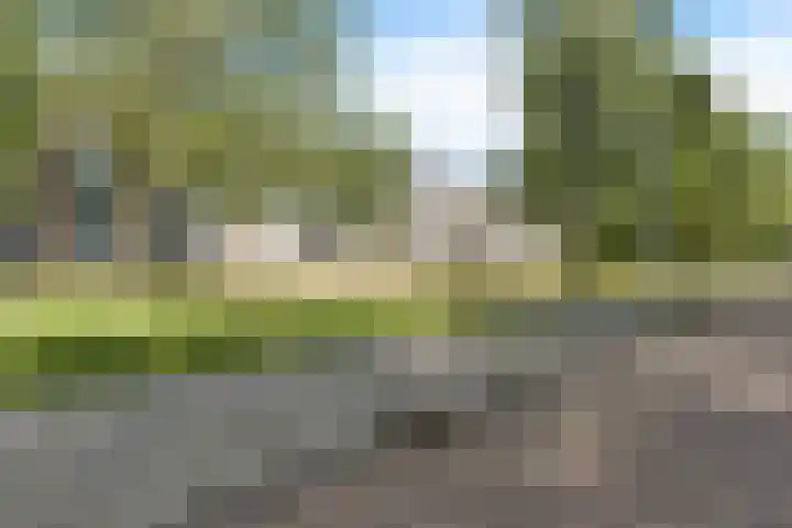 Illegaliteitslaan 146 Groningen thumbnail 7