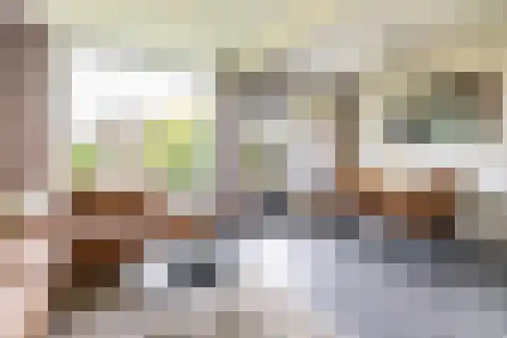 Illegaliteitslaan 8 in Groningen