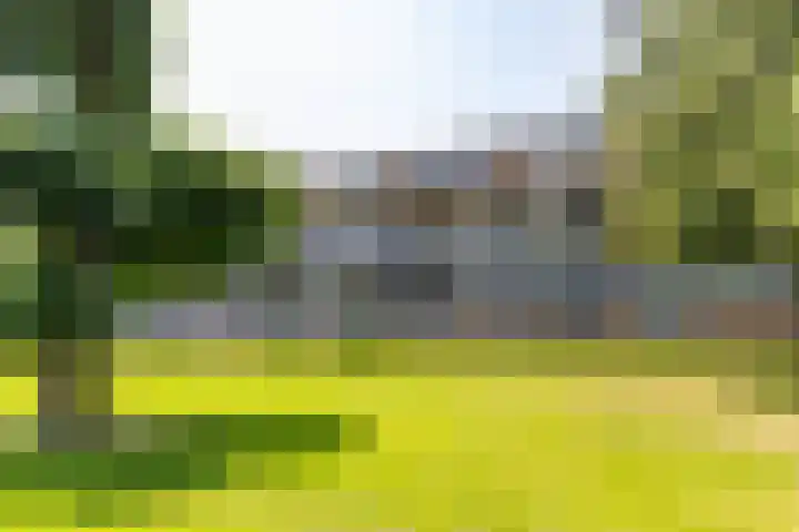 Illegaliteitslaan 80 in Groningen