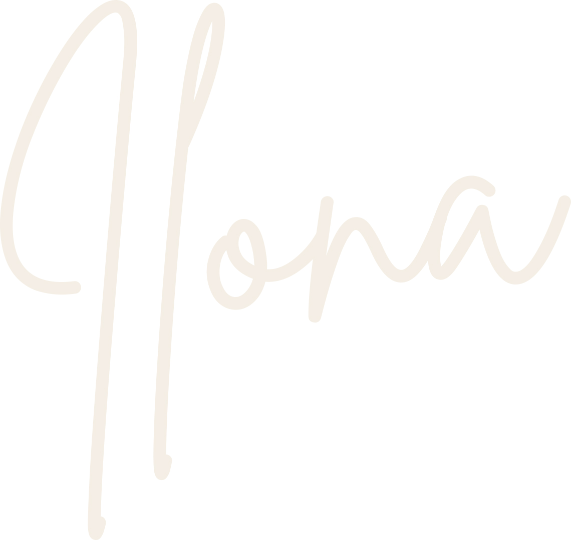 Logo Ilona Wolthuis Makelaardij