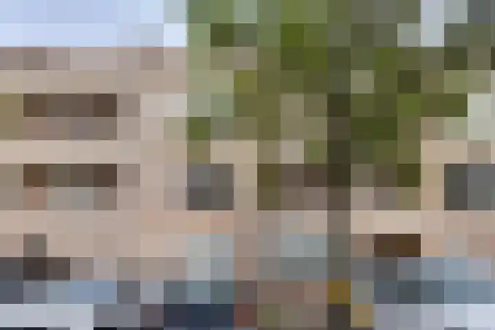 Ilpendamstraat 19 Purmerend thumbnail 6