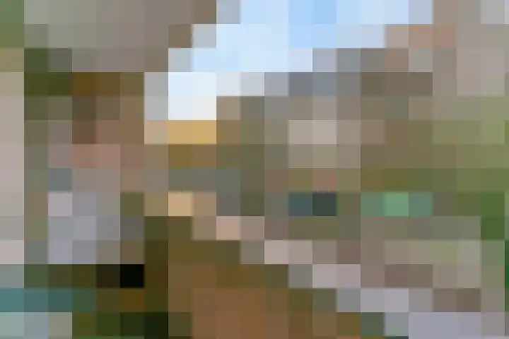 Ilpendamstraat 3 Purmerend thumbnail 20