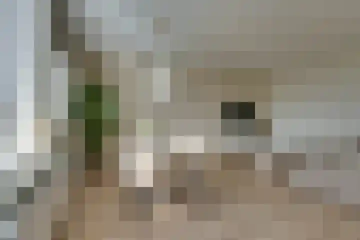 Ilpendamstraat 93 Purmerend thumbnail 12