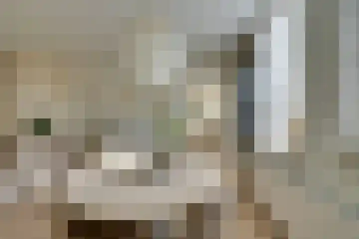 Ilpendamstraat 93 Purmerend thumbnail 15