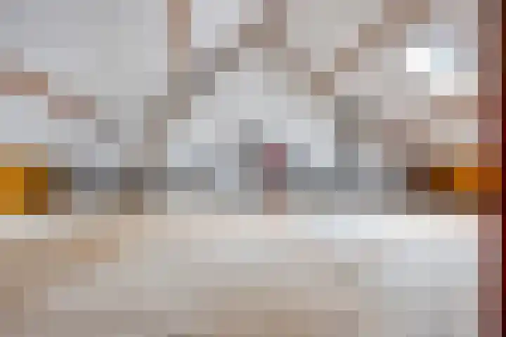 Iman van den Boschstraat 18 Oss thumbnail 15
