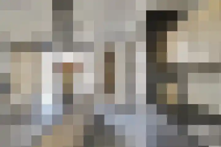 Iman van den Boschstraat 54 Oss thumbnail 16