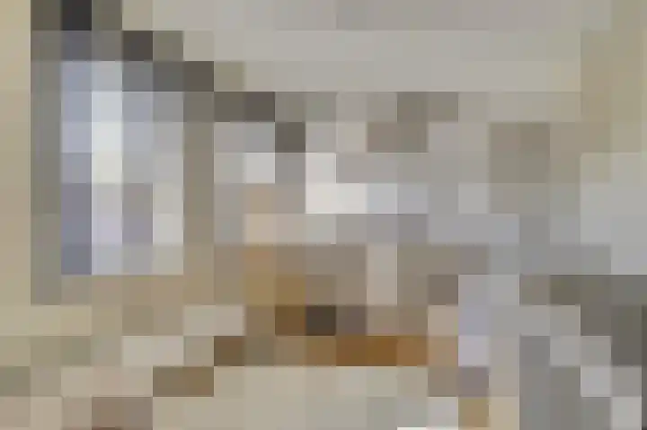 Iman van den Boschstraat 54 Oss thumbnail 23