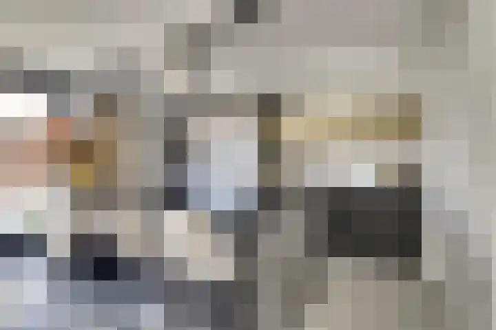 Iman van den Boschstraat 54 Oss thumbnail 4