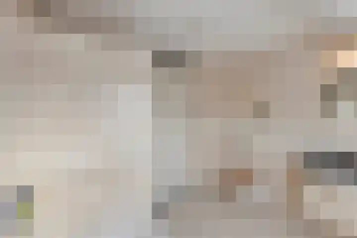 Imkerhei 46 Best thumbnail 27