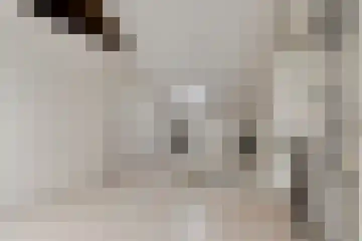 Imkerhei 46 Best thumbnail 30