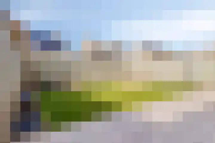 Imkerhei 46 Best thumbnail 34