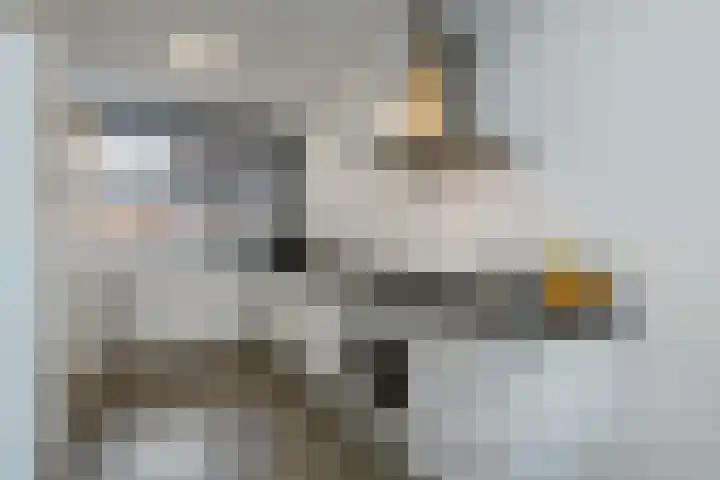 Imkersdreef 321 Apeldoorn thumbnail 12