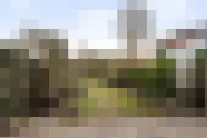 Imkersdreef 607 Apeldoorn thumbnail 11
