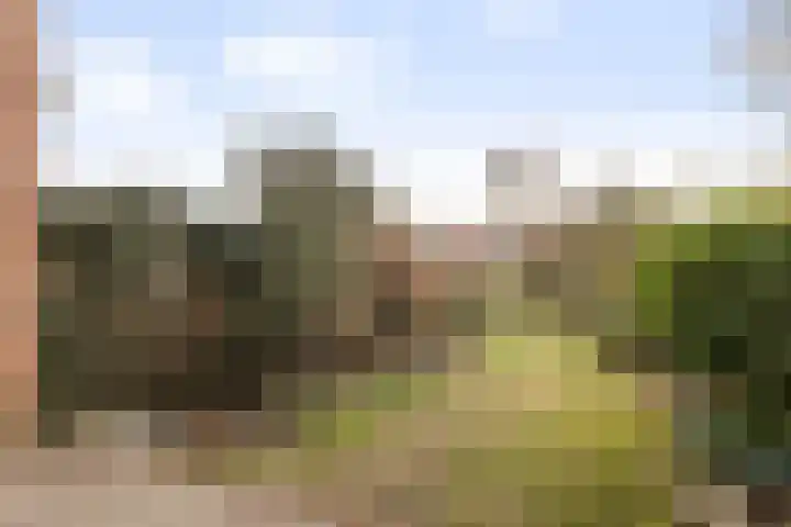 Imkersdreef 607 Apeldoorn thumbnail 12