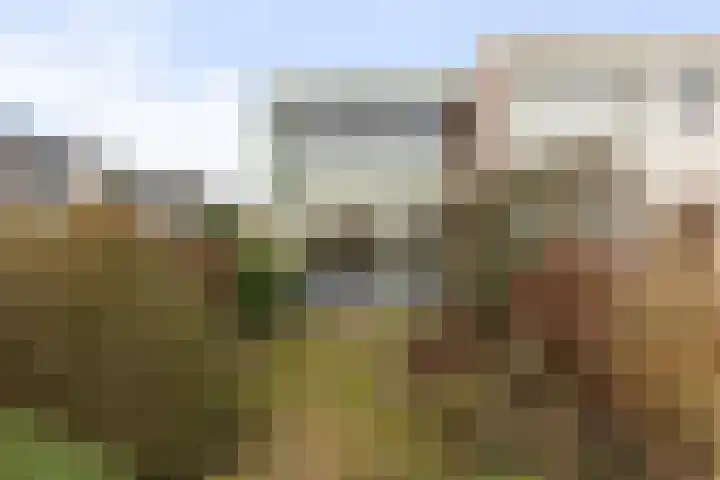 Imkersdreef 607 Apeldoorn thumbnail 13