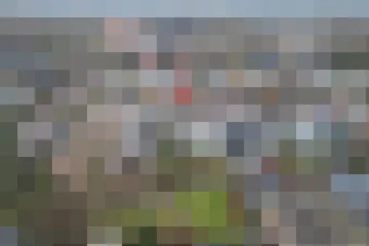 Imkersdreef 607 Apeldoorn thumbnail 14