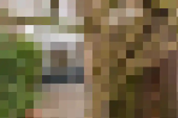 Imkersdreef 607 Apeldoorn thumbnail 19