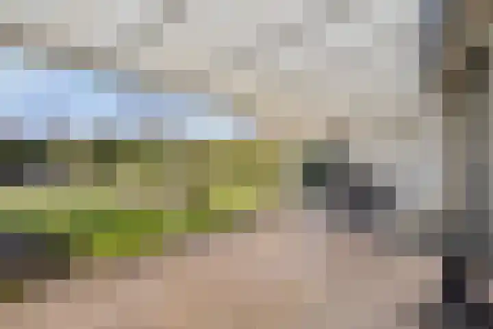 Imkerstraat 18 Echt thumbnail 29