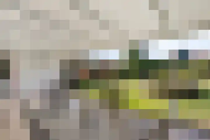 Imkerstraat 18 Echt thumbnail 30