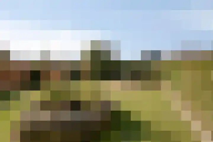 Imkerstraat 18 Echt thumbnail 32