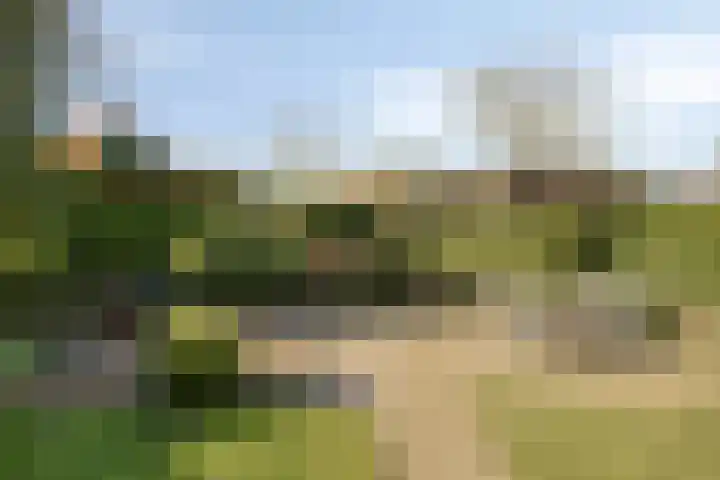 Imkerstraat 18 Echt thumbnail 33