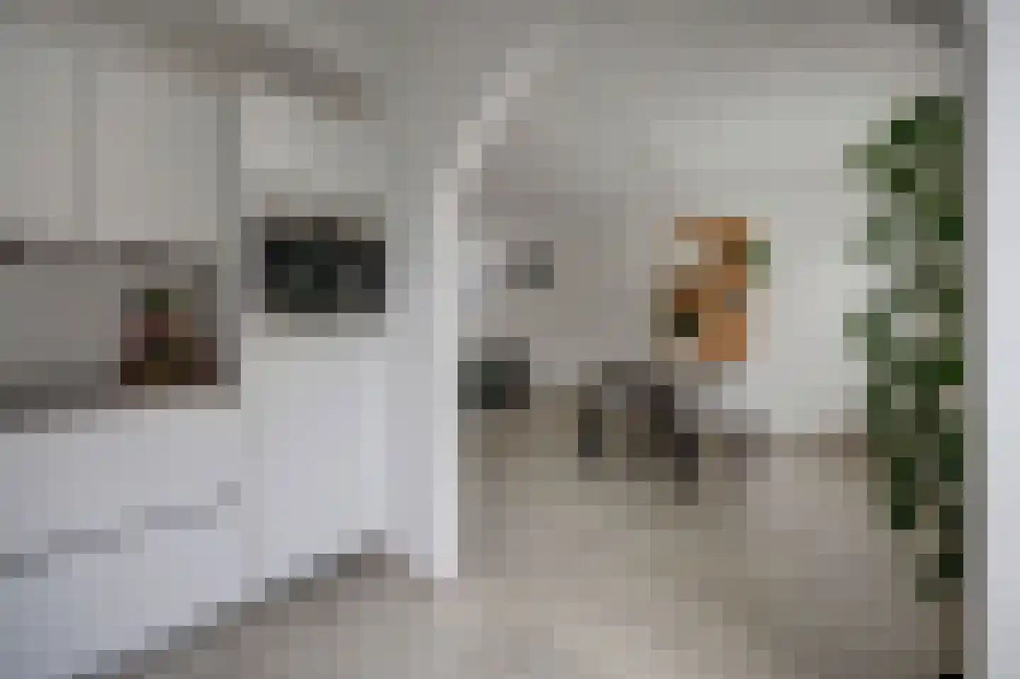 Imkerstraat 19 Bemmel thumbnail 12