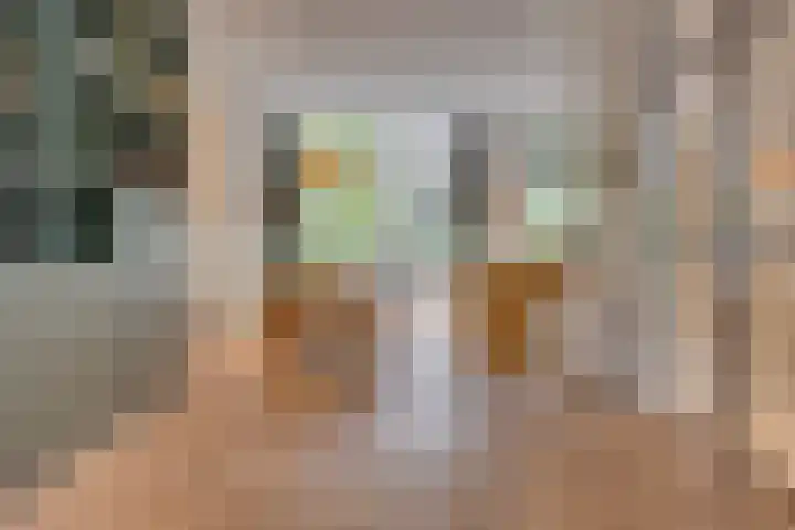 Imkerstraat 19 Bemmel thumbnail 21