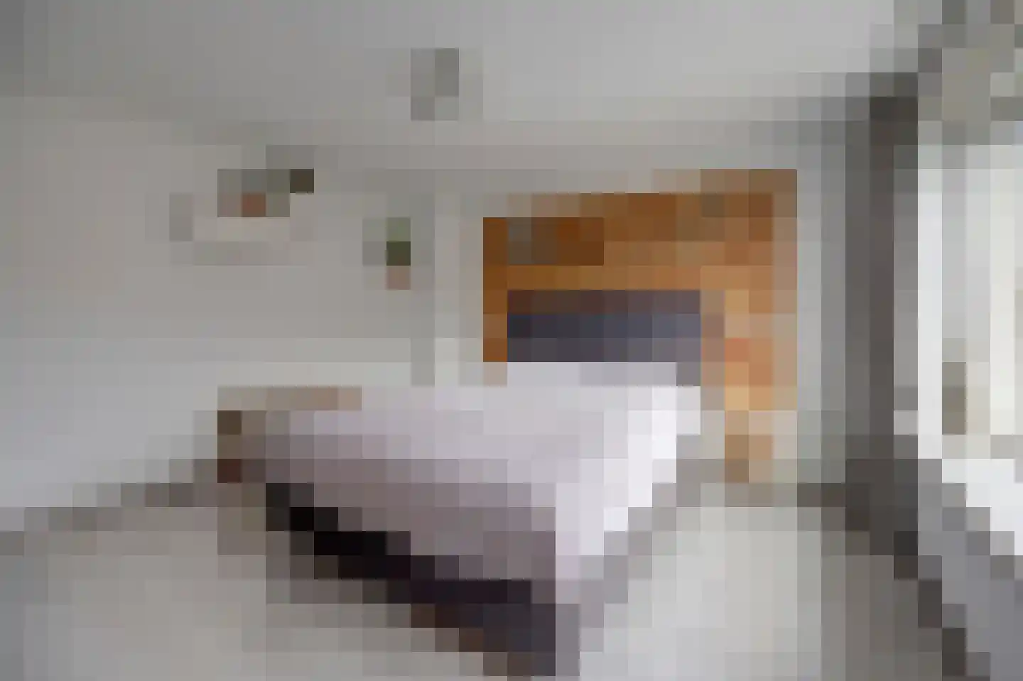 Imkerstraat 19 Bemmel thumbnail 26