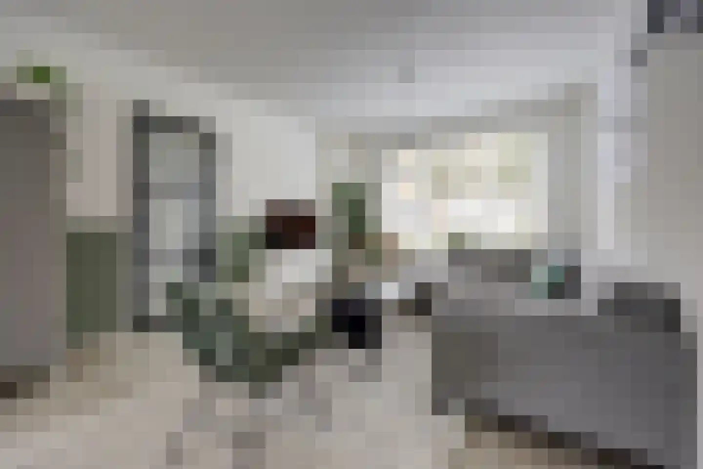 Imkerstraat 19 Bemmel thumbnail 7