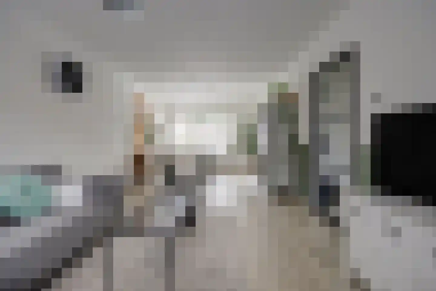 Imkerstraat 19 Bemmel thumbnail 8