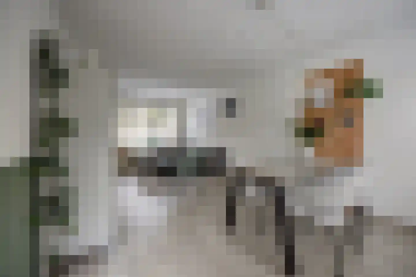 Imkerstraat 19 Bemmel thumbnail 9