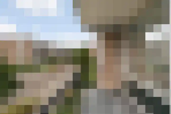 Immanuel Kantstraat 152 Rotterdam thumbnail 6