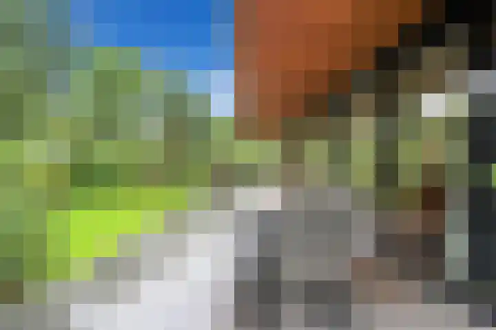 Immenweg 15 529 Lunteren thumbnail 29