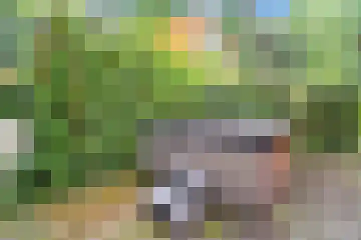Immenweg 15 529 Lunteren thumbnail 31