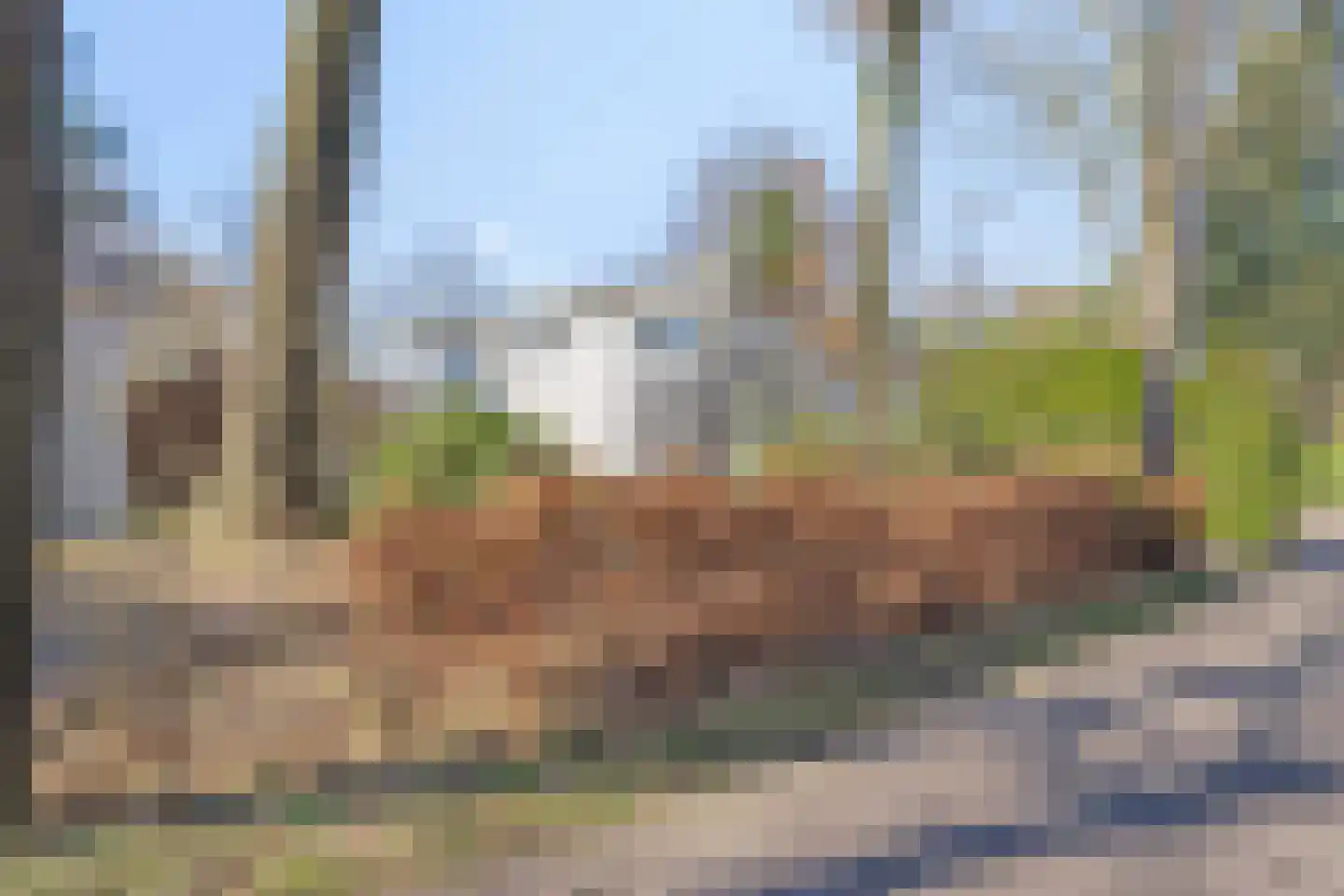 Immenweg 15 R 346 in Lunteren