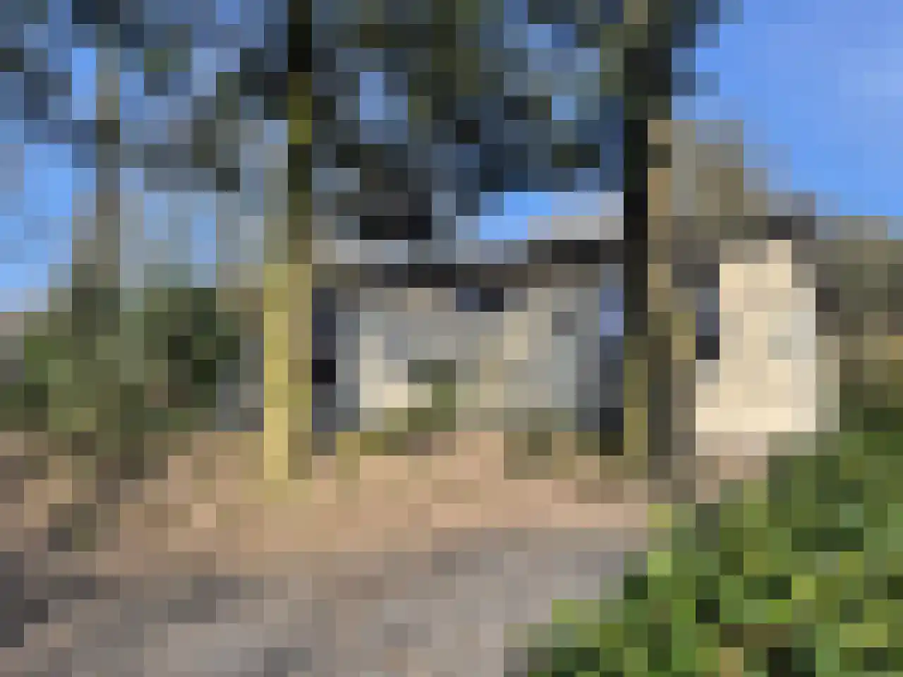 Immenweg 15 R 83A in Lunteren