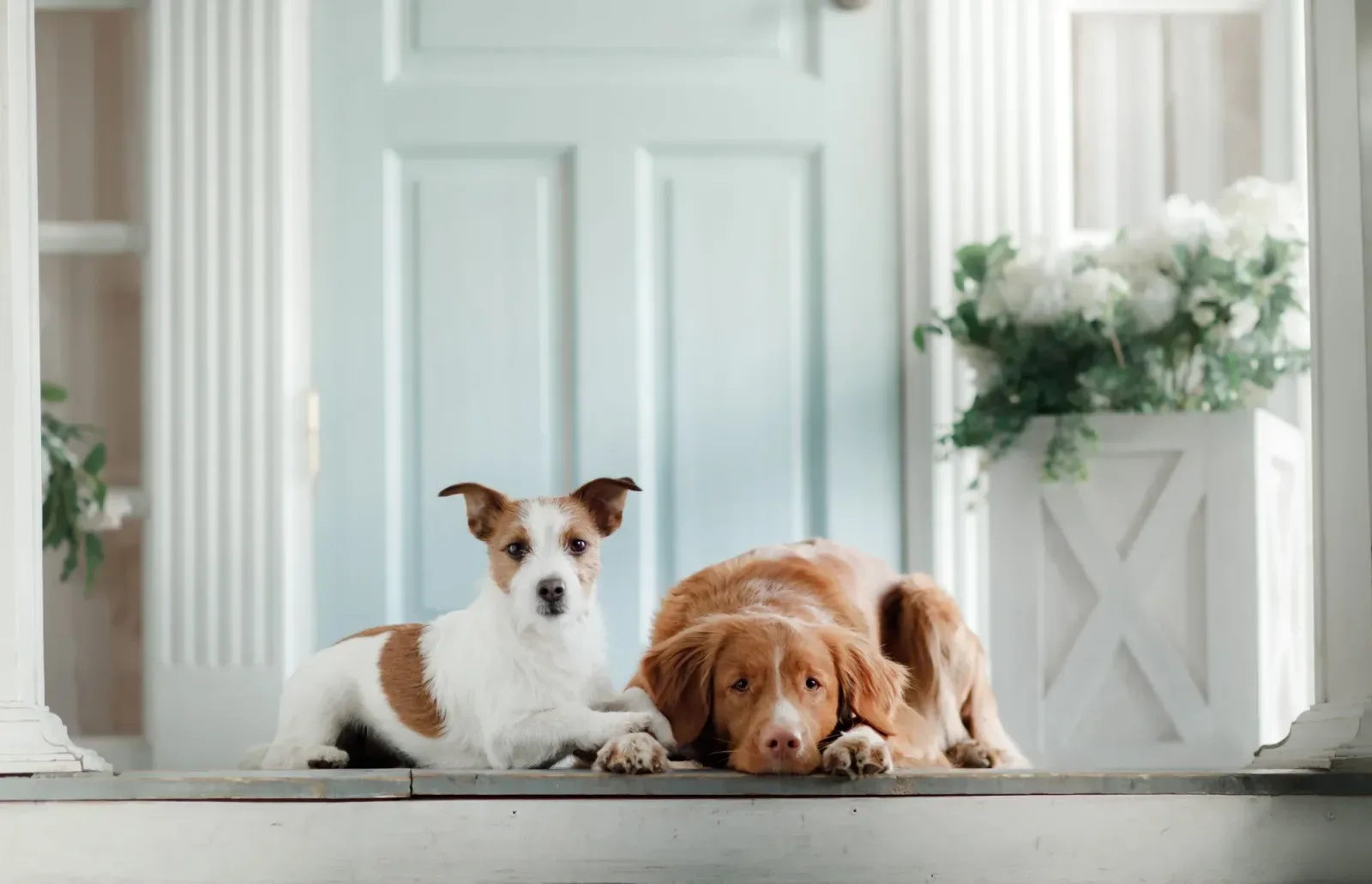 Team foto van IMMOG Makelaars