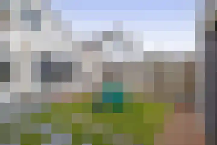 Team foto van Immomatch