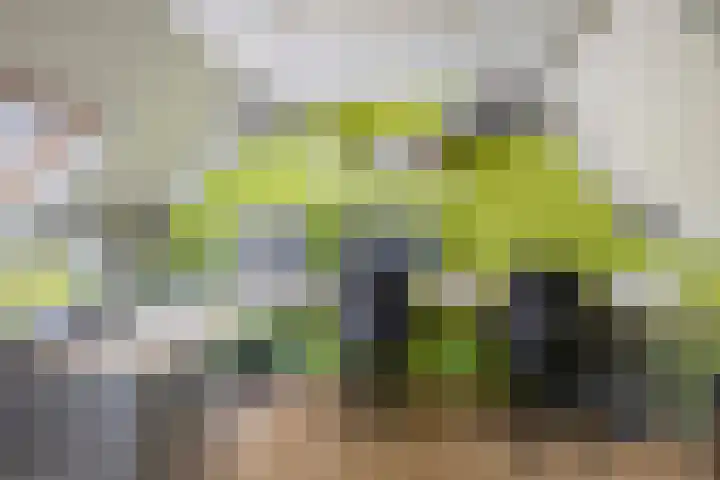 Impalalaan 20 Helmond thumbnail 30